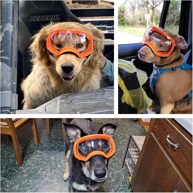 Dog Sunglasses UV Protection Clear Dog Goggles Windproof Glasses with Elastic Straps for Medium-Large Breed, Orange Frame + Clear Lens