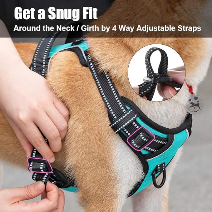 PoyPet No Pull Dog Harness, Reflective Comfortable Vest Harness with Front & Back 2 Leash Attachments and Easy Control Handle Adjustable Soft Padded Pet Vest for Small to Large Dogs (Mint Blue,XS)