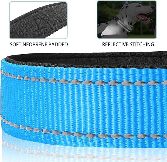 JSXD AirTag Dog Collar, Night Reflective Nylon Dog Collar for Small Medium Large Dogs,Lockable Quick Release Buckle,Padded Breathable Pet Collar with AirTag Holder (Blue, Large)