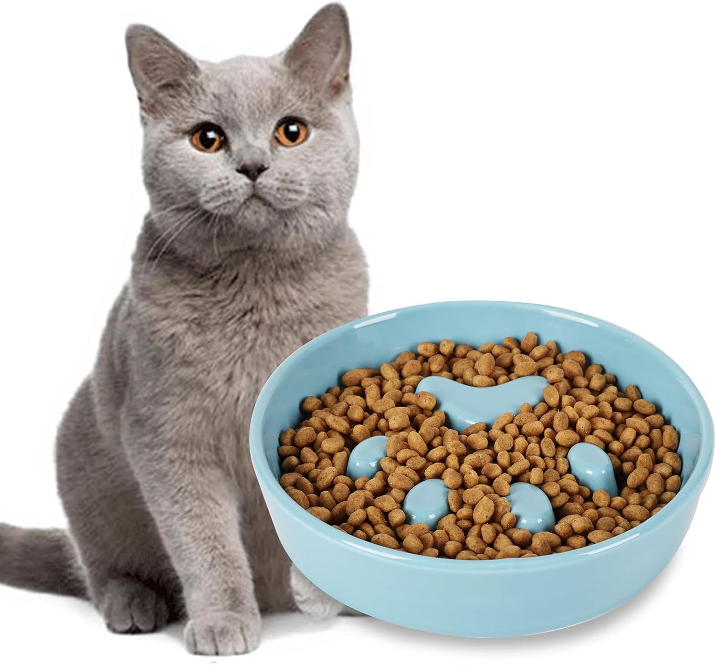 Slow Feeder Cat Bowls, Ceramic Fun Slow Eater Bowl for Cats (Turquoise)