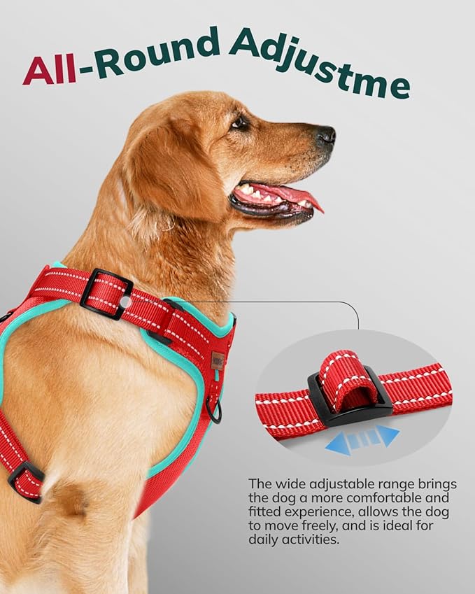 MIDOG No-Pull Dog Harness | Adjustable & Reflective Pet Harness Leash Set for Small Medium Large Dogs Walking, Training| No Choke, Front Clip, Soft Padded Vest with Easy Control Handle - Red, XS