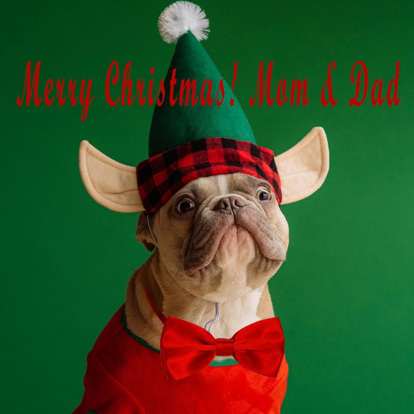 KOOMOX Red Bow for Dog, Adjustable Dog Bow Tie Collar for Medium and Large Dogs Cats Pets Wedding Birthday Graduation Christmas Holiday Homecoming Costumes, 1 Piece Red