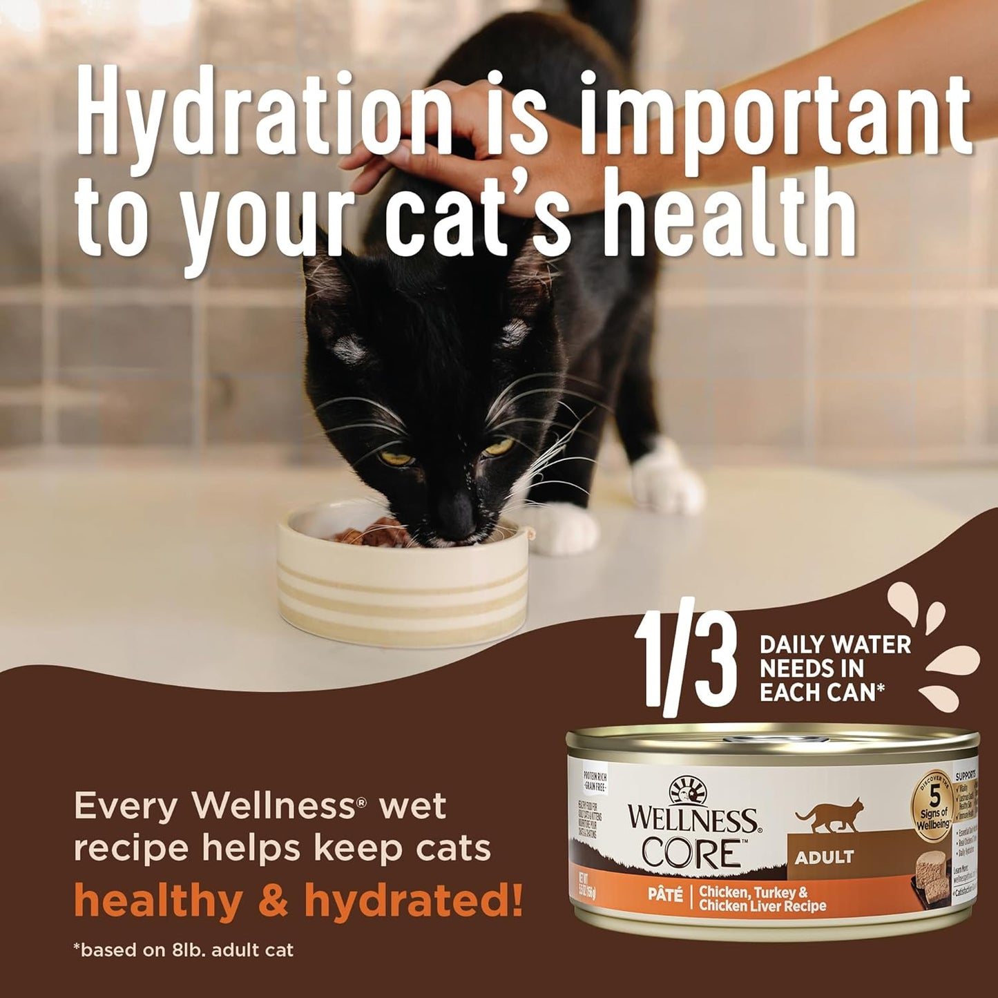 Wellness CORE+ Indoor Pate Adult Wet Cat Food, Natural, Protein-Rich, Grain Free, 2.8 Ounce, 12 Pack (Tuna & Tilapia)