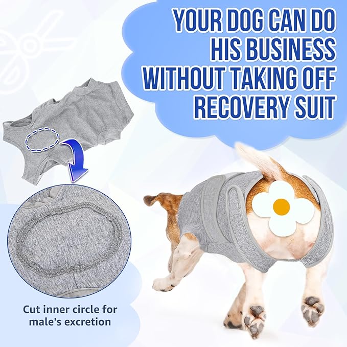 Lukovee Recovery Suit for Dogs, Zipper On Recovery Suit for Female Male Dog, Onesie Abdominal Wounds Cone E-Collar Alternative Prevent Licking Spay Recovery Suit (M,GY)