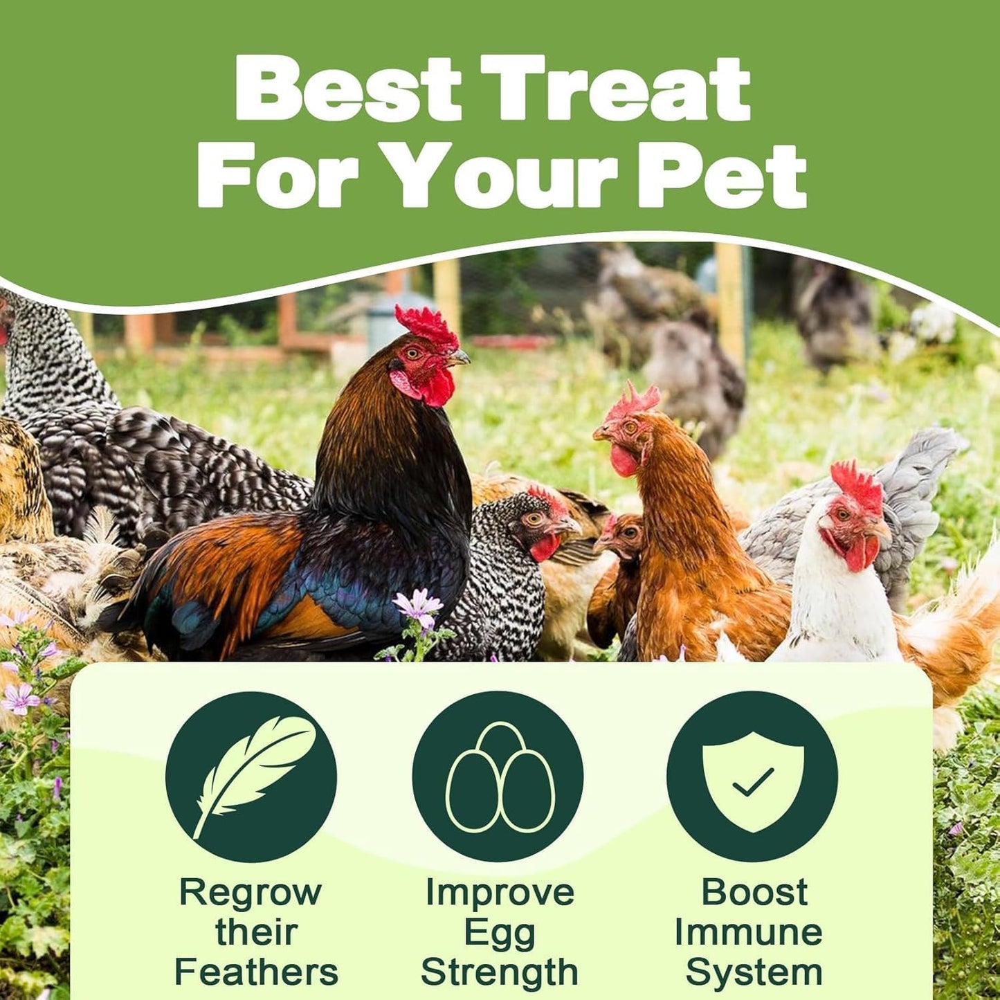 5LB Dried Black Soldier Fly Larvae, 86X Calcium Than Dried Mealworms, High Protein Non-GMO Organic Chicken Feed