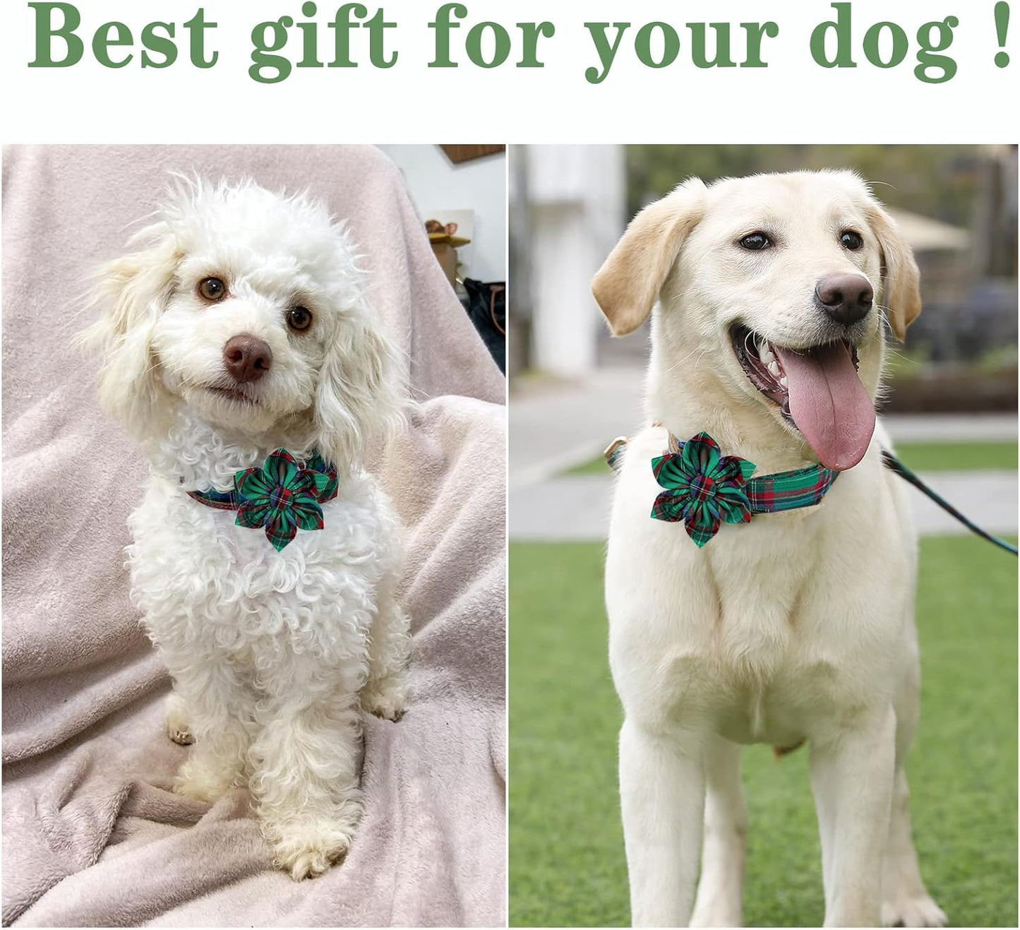 Unique style paws Dog Collar with Flower Tie Christmas Dog Collar for Small Medium Large Dogs with Adjustable Metal Buckle -S