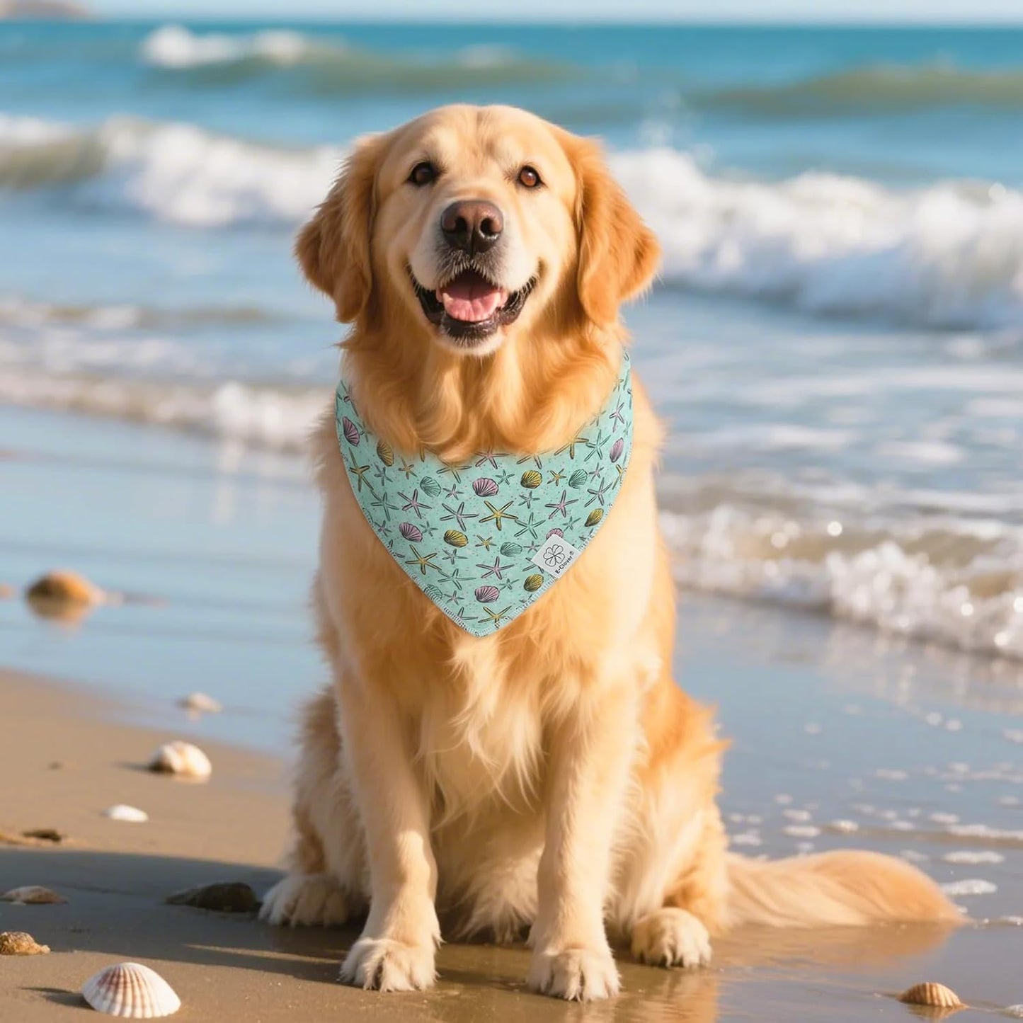 E-Clover Summer Starfish Dog Bandanas & Matching Scrunchie Set Blue Dog Scarf Bibs Pet Bandana with Bow Tie for Small Dogs Puppy Owner Mom