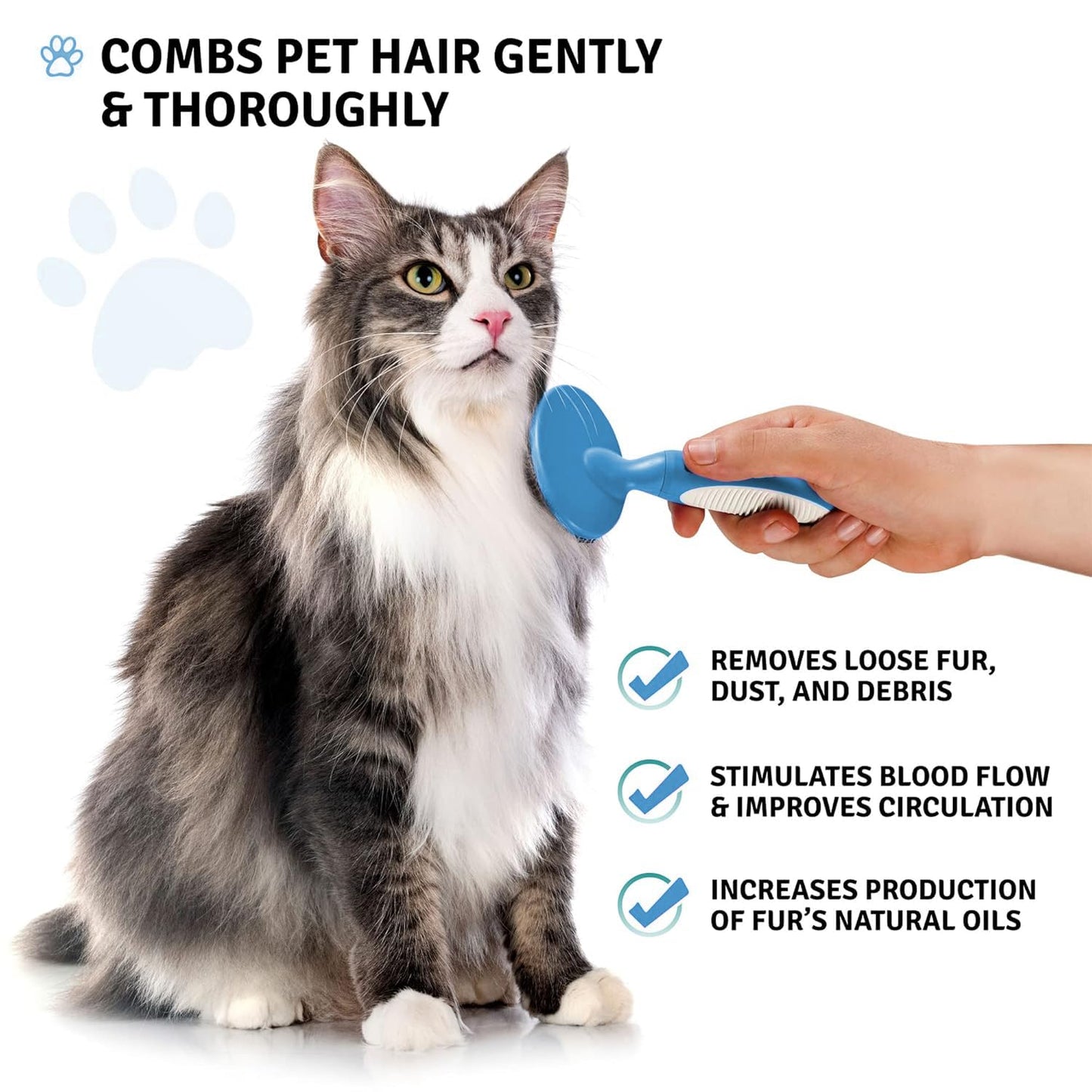 Round Bristle Pet Brush for Dogs and Cats - Soft Dog Brush for Grooming Short or Long Hair - Gentle Tool for Sensitive Skin Removes Dander, Dirt, and Detangles (Blue)