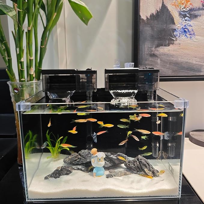 Natural Seiryu Dragon Stone - 11 Pound Aquarium Rock for Fish Tank Reptile and Amphibious Tank 3-8 Inch Aquarium Decoration