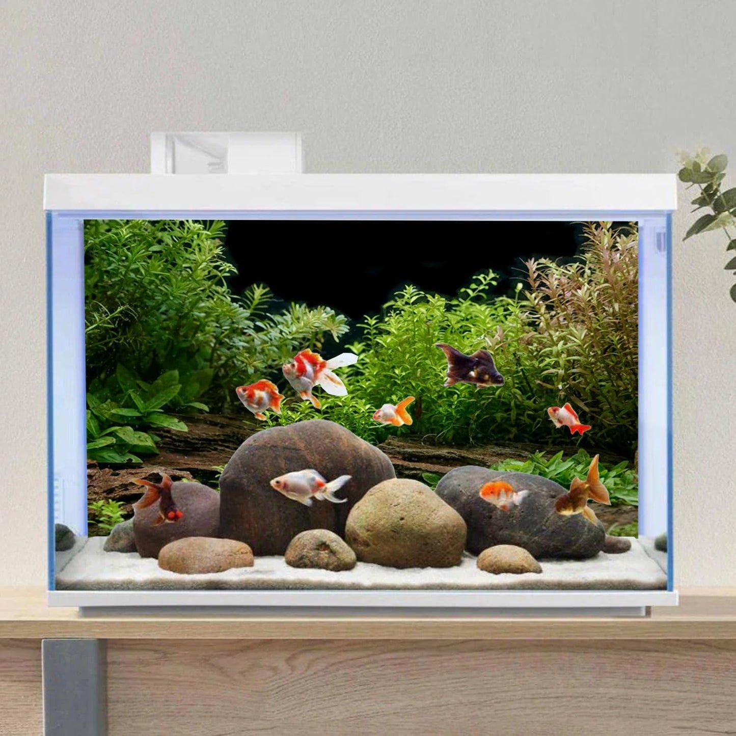 AWERT Aquarium Background River Bed & Lake Aquatic Plant Fish Tank Background Vinyl 36x24 inches