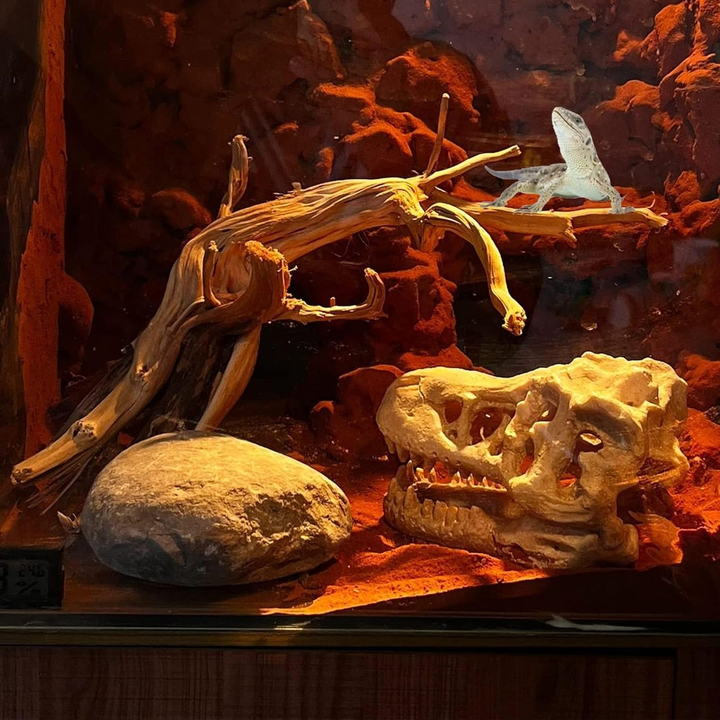 BNOSDM 2PCS Reptile Wood Branches Decor Lizard Habitat Decoration Snake Climbing Branch Accessories Terrarium Tree Trunk Ornament for Bearded Dragon Gecko Frog Chameleon Spider