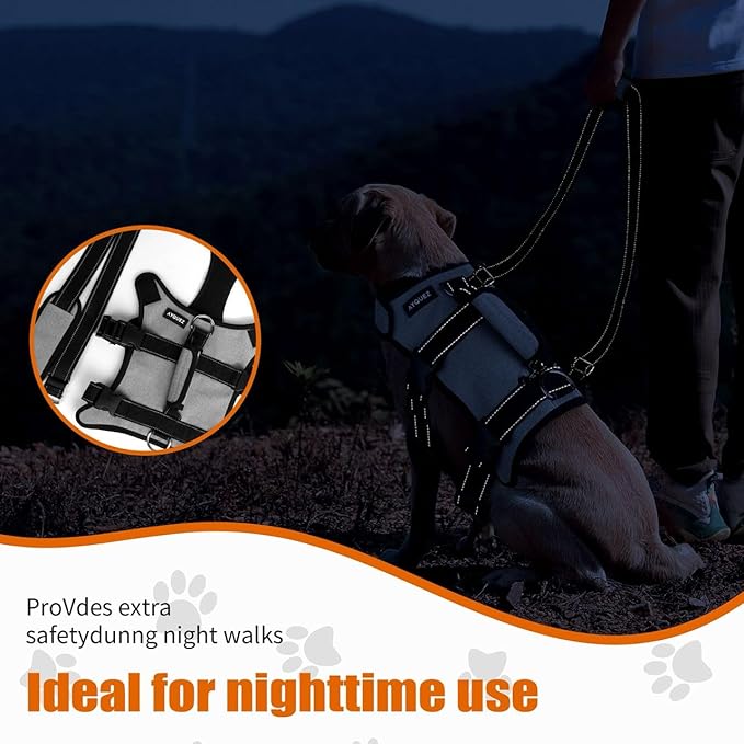 Ayquez Dog Lift Harness with Storage and Transport Bag, Dog Harness with Handle for Lifting & Hip dysplasia, arnés para Perros pequeños, pechera para Perros (Gray, L)