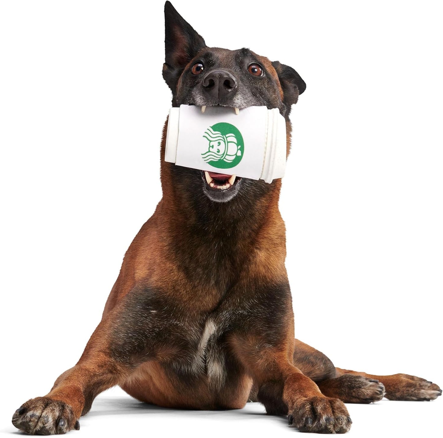 Barkbox Pupkin Spice Latte Plush Dog Toy – Plush Dog Toys – Puppy and Pet Toys for Medium to Large Dogs