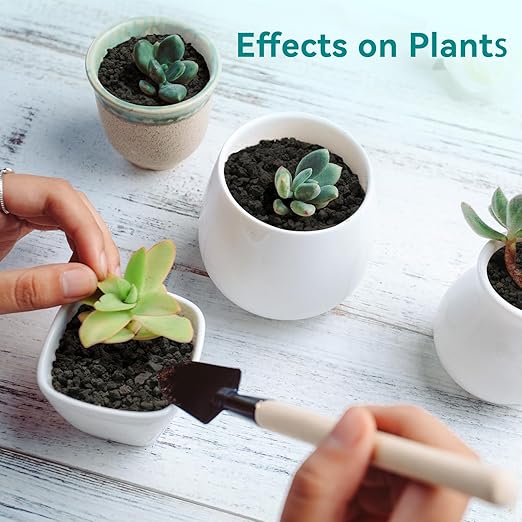 5lbs Small Lava Rocks for Plants Drainage, 1/5 Inch Black Gravel Mulch for House Plants, Succulent Rocks Pebbles for Planters,Cactus, Bonsai Tree, Pure Volcanic Rocks, Top-Dressing