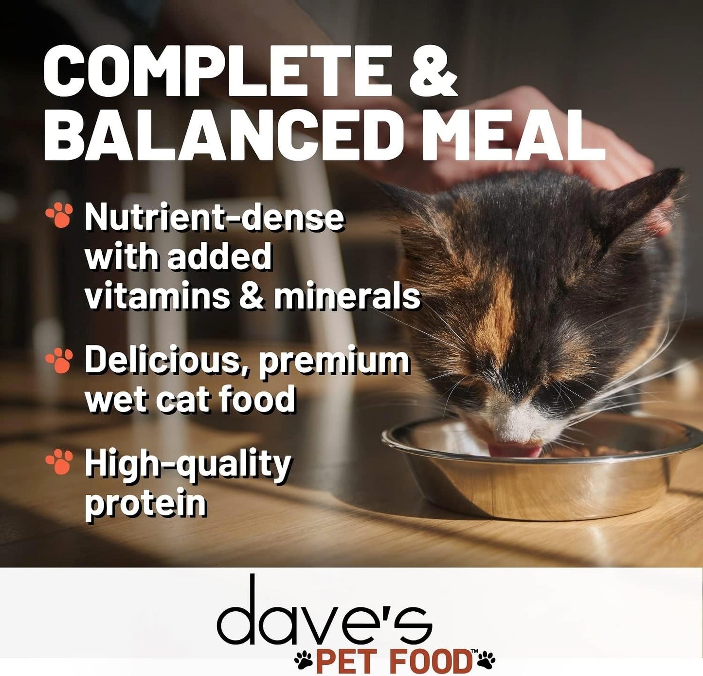 Dave's Pet Food Grain Free Wet Cat Food (Shredded Chicken in Gravy), Made in Canada Naturally Healthy Canned, Added Vitamins & Minerals, Wheat & Gluten-Free, GMO-Free, 5.5oz (24 Pack)