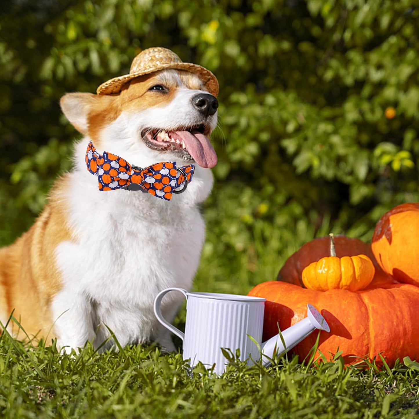 Unique Style Paws Halloween Day Dog Collar with Bow Bone Pumpkin Cotton Dog Collars for Small Medium Large Dogs