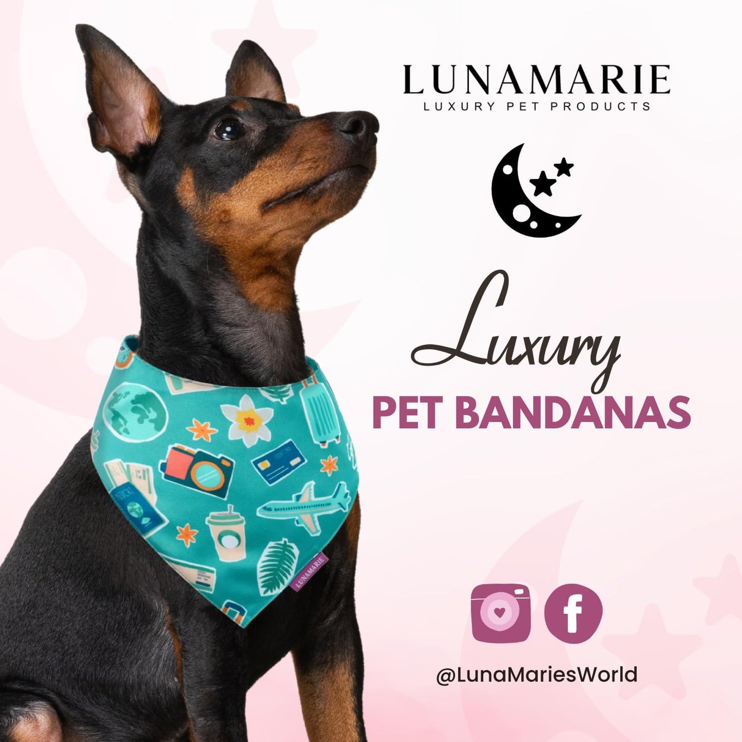 LunaMarie - Luxury Pet Birthday Bandanas -Premium & Silky Poly Fabric | 100% Handmade | Custom Shape Dual Layered (Pawsport Club, Small)
