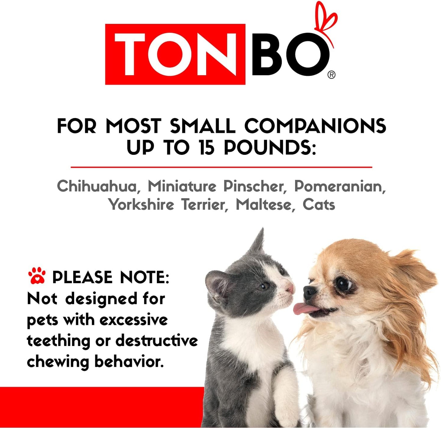 TONBO Soft Plush Small Cute and Cozy Food Dog Cat Bed, Washer and Dryer Friendly (Frog)