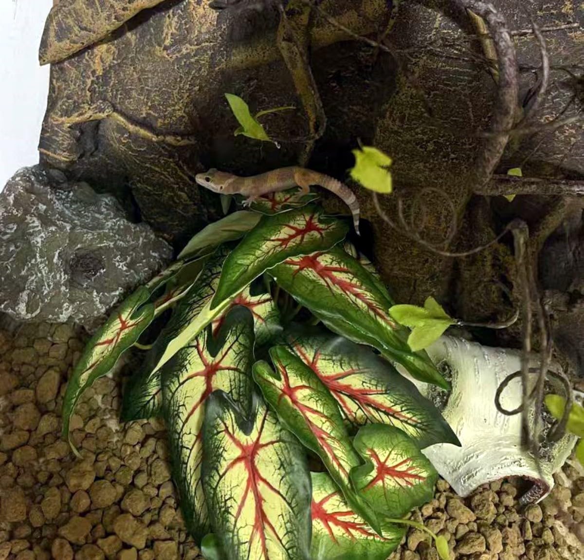 Reptile Plants for Terrarium Decor,Amphibian Habitat Decor, Bearded Dragon Tank Accessories,Artificial Plants for Gecko Chameleon Snake Tortoise with Base (Alocasia odora)