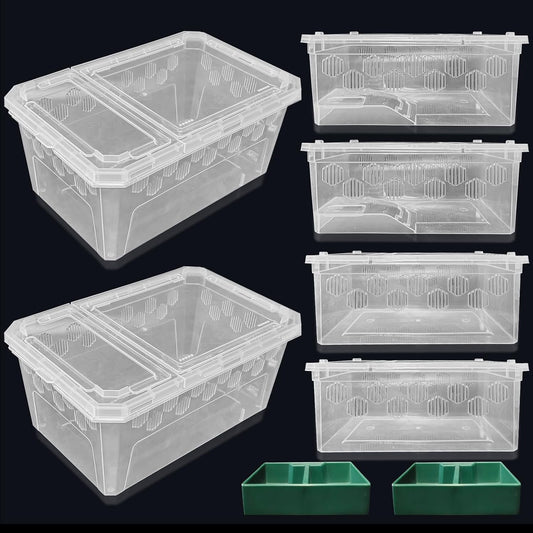 PINVNBY Reptile Feeding Box 6 PCS Snake Breeding Box Lizard Cricket Cage Habitat Hatching Container Transparent Portable Critter Keeper for Spider Scorpion Gecko Tortoise Treefrog (2 Large 4 Small)