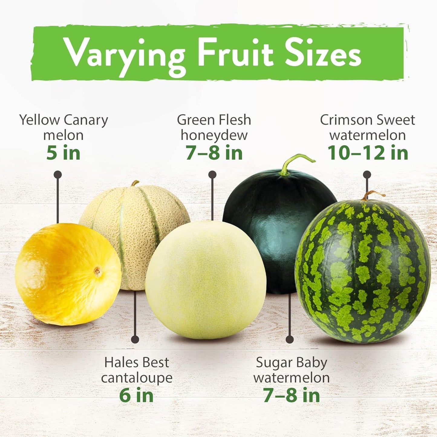 HOME GROWN 𝗨𝗦𝗔 𝗣𝗥𝗘𝗠𝗜𝗨𝗠 Melon Seeds Variety Pack 5 𝗡𝗢𝗡-𝗚𝗠𝗢 Heirloom Vegetable Seeds, Watermelon Cantaloupe Honeydew Sugar Baby & Melon, High Germination for Planting Home Garden Indoors
