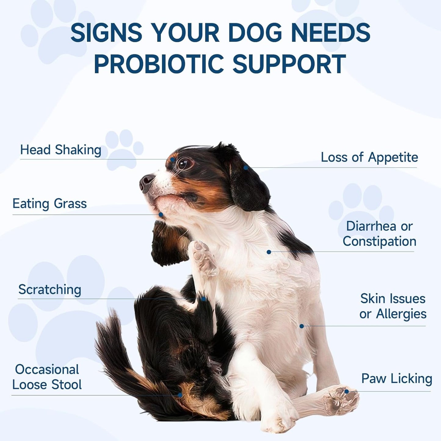 Dog Probiotic for Dogs, 200 Soft Treats Dog Probiotics for Digestive Health & Immune System, Probiotic Chews for Dogs, Support Gut Health|Itchy Skin|Diarrhea|Gas Relief Treatment