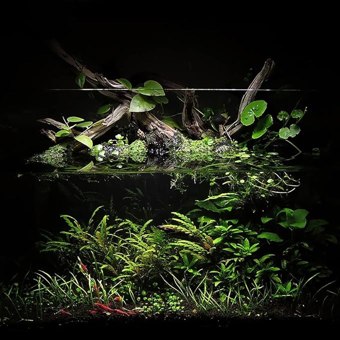 Ultum Nature Systems Controsoil - Freshwater Aqua Soil Substrate for Fish, Shrimp, Live Plant Propagation and Aquascaping - 6.8pH Low Ammonia, Volcanic Ash - Black, Normal (3 Liter | 6LB)