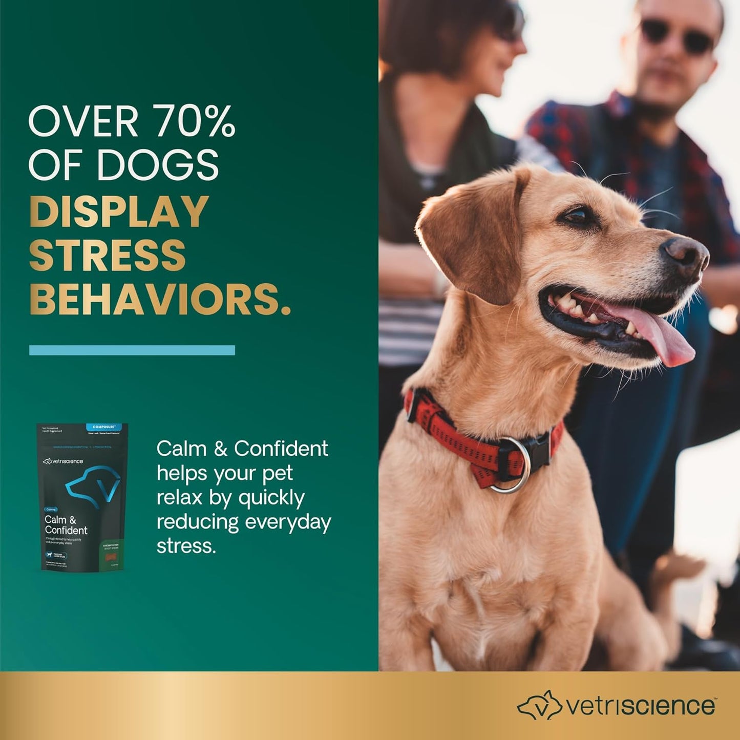 VETRISCIENCE Composure Calming Treats for Small Dogs and Puppies Anxiety, Separation Stress, Thunder and Barking - Yummy Chews Pets Love, 30 Chews