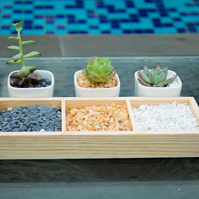 3lb White Cactus Pea Gravel Rocks,1/4 Inch Pebbles for Indoor Plants, Natural Succulent Rock and River Rocks Decorative for Aquariums, Vases, Outdoor Gardening, Top Dressing for Potted Plants