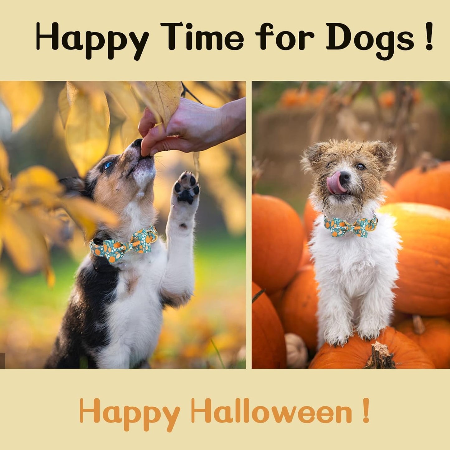 Unique style paws Halloween Dog Collar with Bow Tie Pumpkin Cotton Collar Adjustable Puppy Collar for Small Medium Large Dogs-XL