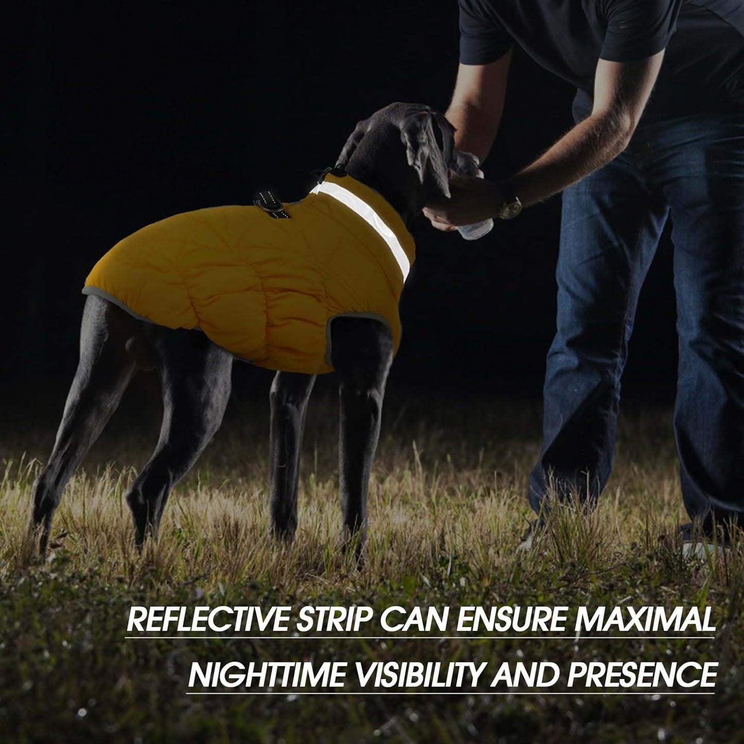 FUAMEY Dog Coat for Medium Dogs,Waterproof Dog Winter Jacket with Harness Built in Puppy Cold Weather Coats Reflective Pet Vest with Zipper Warm Fleece Dogs Snowsuit Windproof Yellow M