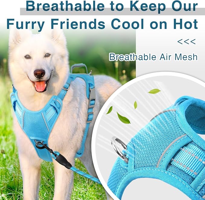 BARKBAY Dog Harness No Pull with ID Tag Pocket - Heavy Duty, Reflective, Easy Control for Large Dogs(Blue,M)