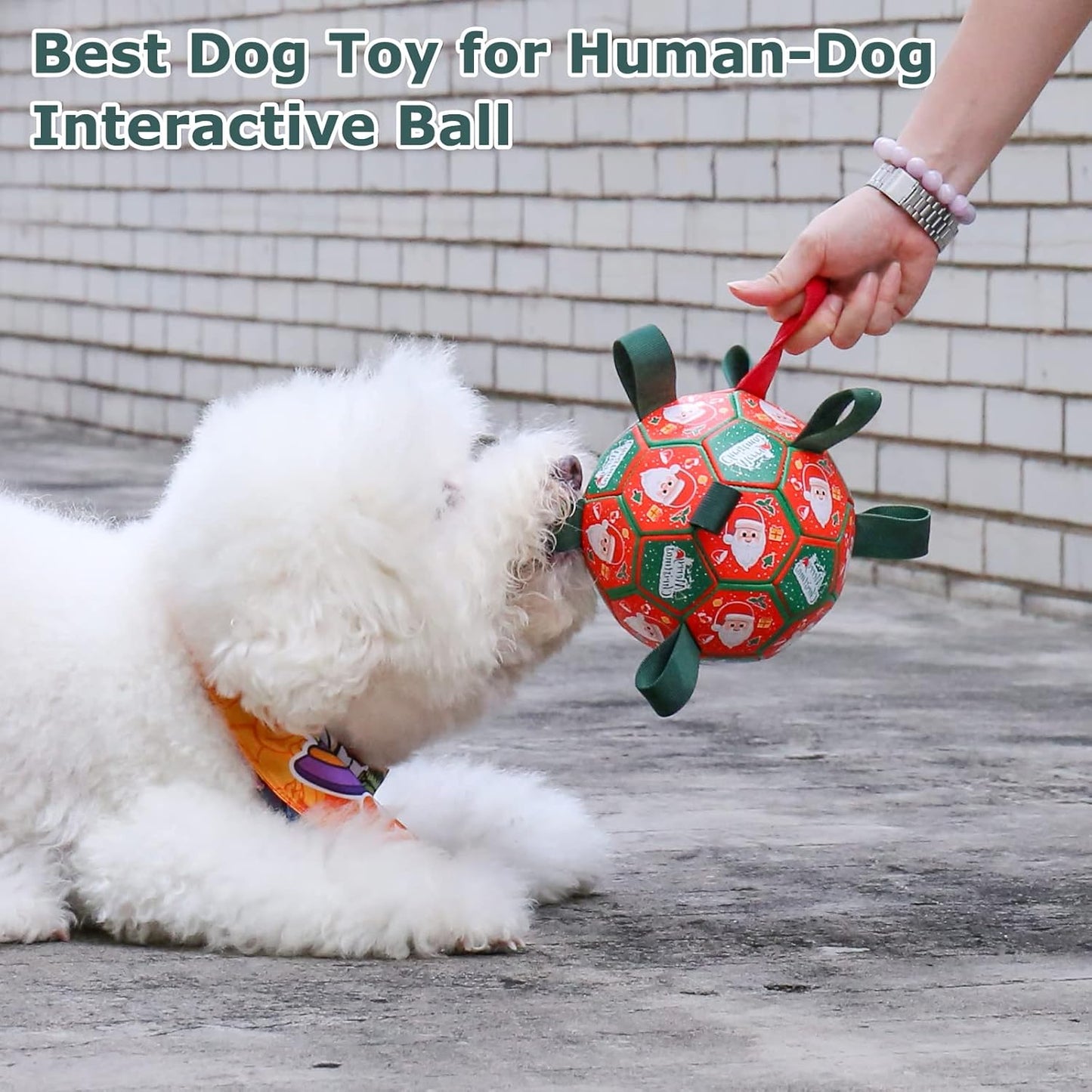 QDAN Christmas Dog Toys: Soccer Ball with Straps for Outdoor Play, Tug of War, Puppy Gifts - Durable 8-Inch Balls for Medium Large Dogs