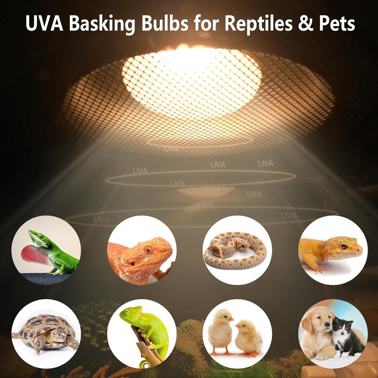 Pack of 2 Reptile Basking Light Bulbs - Incandescent 100W Simulated Sunlight UVA Heat Bulbs for Bearded Dragons, Geckos, Iguanas, Lizards, Amphibians & Small Pets
