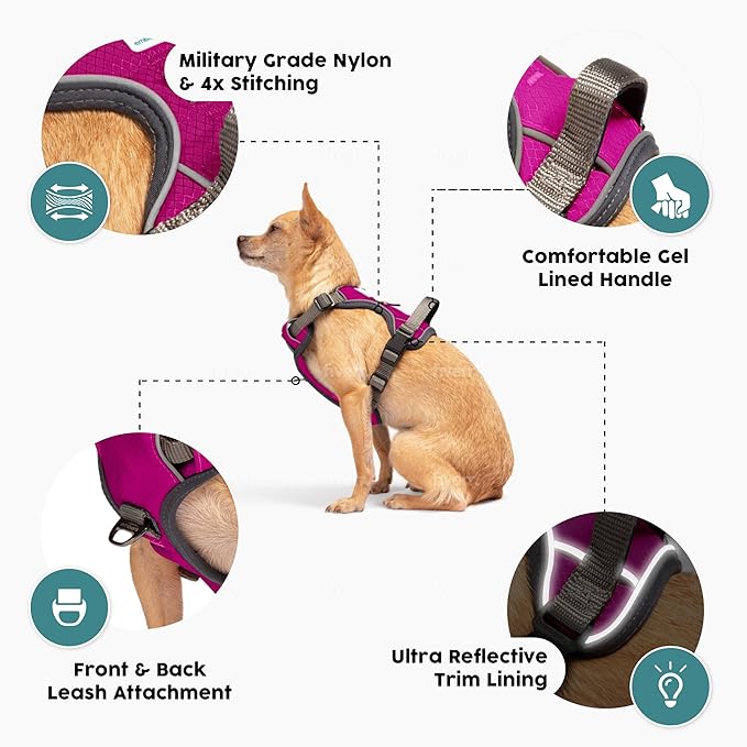 Embark Adventure Dog Harness, Reflective Trim No Pull Dog Harness Medium Sized Dogs - Military Grade Nylon, Front Clip with Gel Lined Handle.