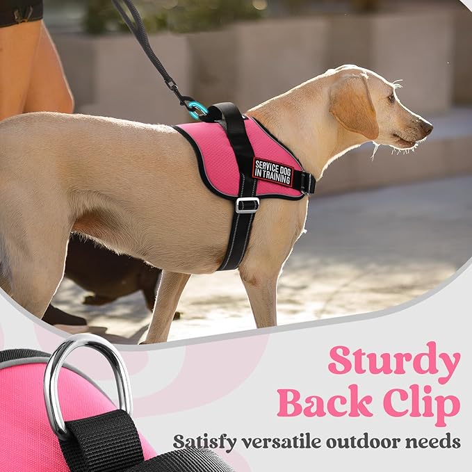 rabbitgoo Dog Harness for Small, Easy On Pet Vest with One Buckle, No Pull Adjustable Service Harness with D-Ring & Handle, Reflective for Safety Walking, Training, Pink, S