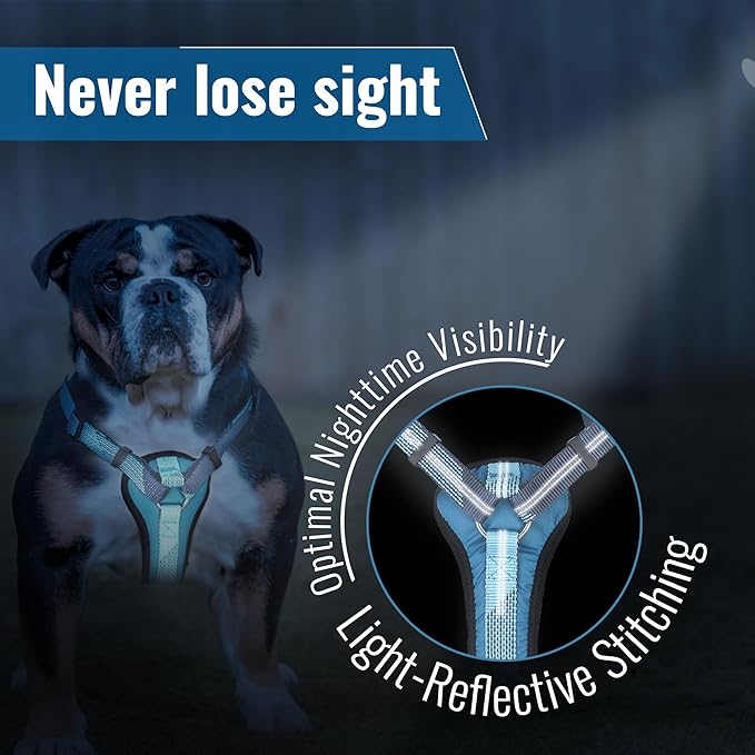 No-Pull Dog Harness with Handle - Escape Proof, Anti-Pulling, Grip Control, Multi-Angle Reflective for Safe Walks & Training, Easy On & Off, Metal Buckle–Pet Harness, Medium/Large Dogs- H4- Black