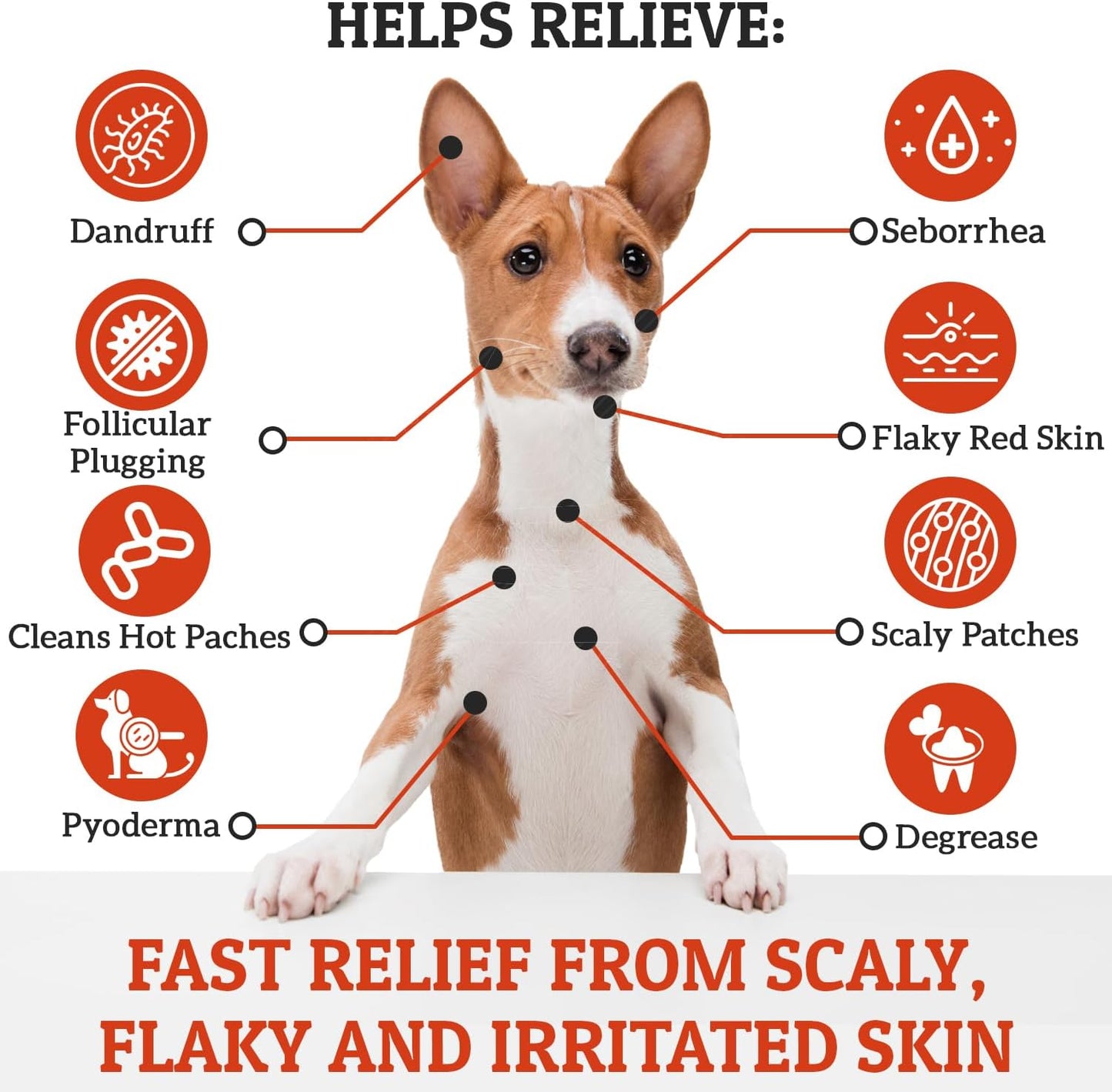 Truseb | Benzoyl Peroxide 3% Shampoo for Dogs,Cats and Horses (3% Benzoyl Peroxide Shampoo, 12 oz)