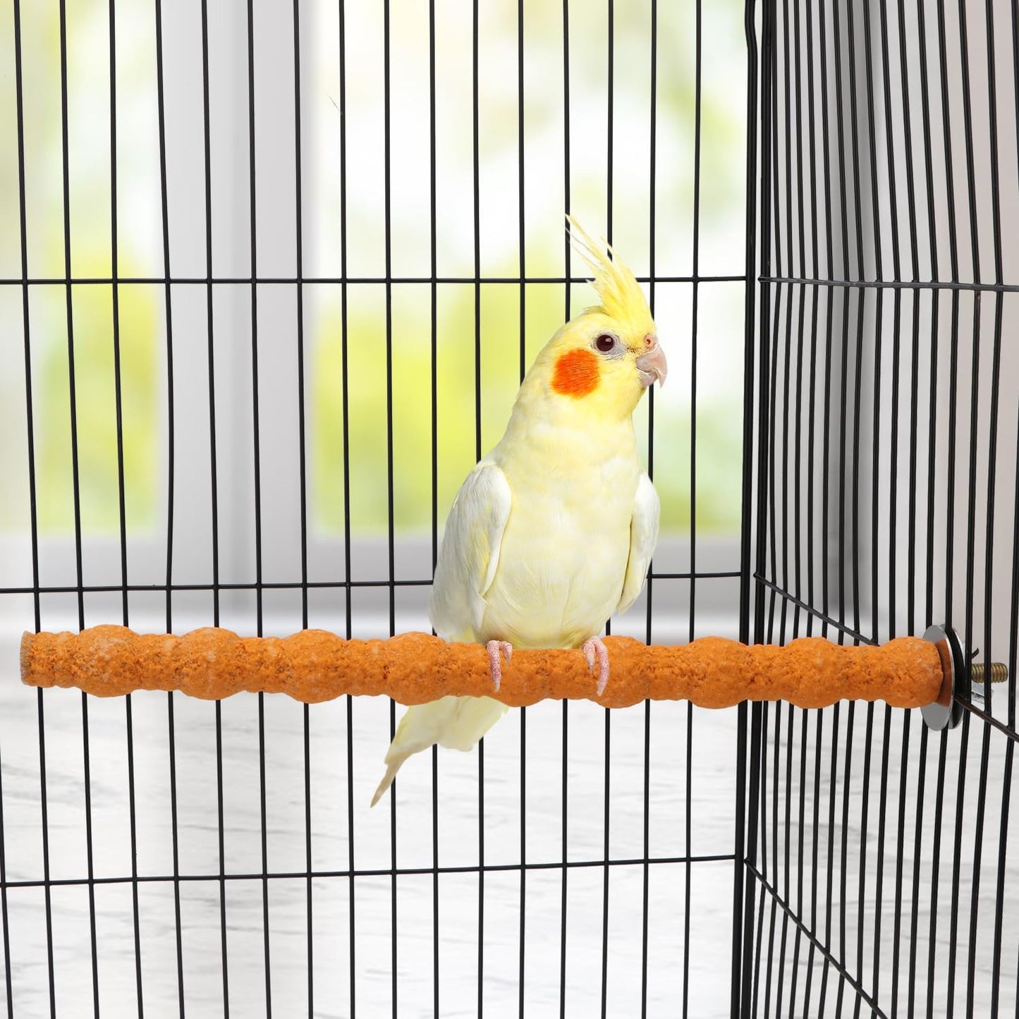 Hypeety Wood Perch Stand Paw Grinding Stick Toy Colorful Pet Bird Cage Stand Platform for Bird Parrot Budgies Parakeet Cockatiels Cage Accessories (Random Color) (10in / 25cm)