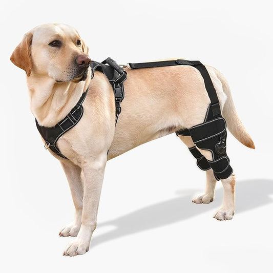 Dog Knee Brace with Adjustable Support – ACL & CCL Tear Recovery, Post-Surgery Stabilization, Mobility Aid for Rear Legs – Includes Secure Chest Harness for Dogs(Both Legs,L)