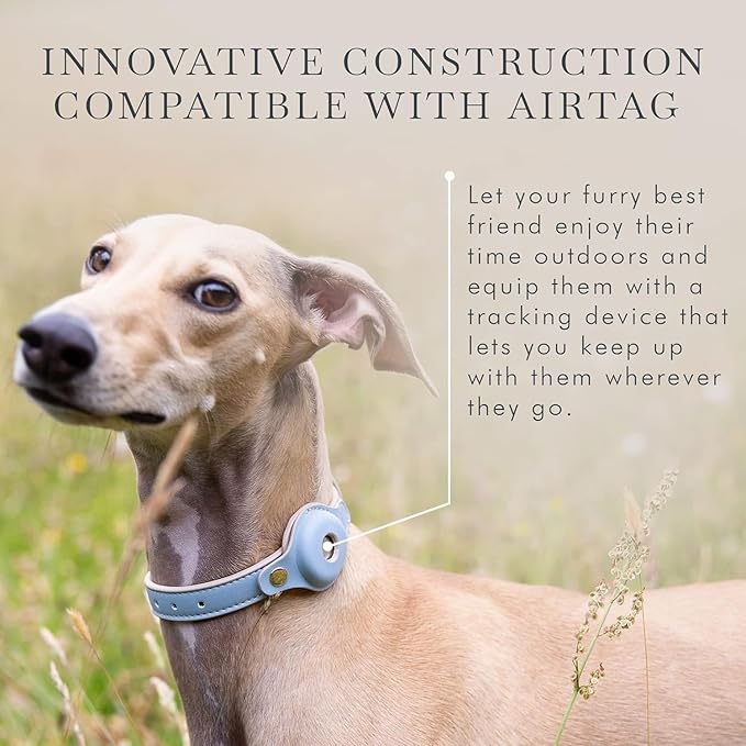 Cupertino Dog Collars, Harnesses & Leashes Made from Vegan Leather with Dog Tracker Device Holder Adjustable Dog Collar - Color Blue, Large