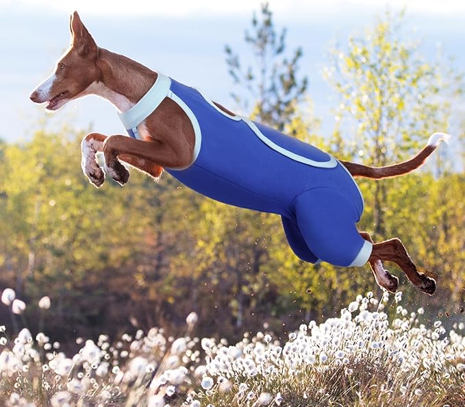 ROZKITCH Dog Surgery Leg Sleeve Rear Legs, Male Female Pet Prevent Licking Wound Elbow Knee Protector, Dog Recovery Suit Cone Collar Alternative Pants Shirt for Wound Heal Wrap Blue S