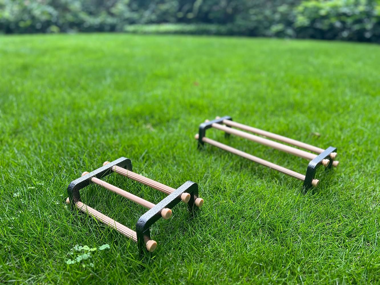 Large Bird Training Perch Long Stand for African Grey Macaw Big Birds, Durable Heavy Duty Rustproof Metal Frame with 4 Wooden Bars for Bird to Play Climb and Exercise Toy