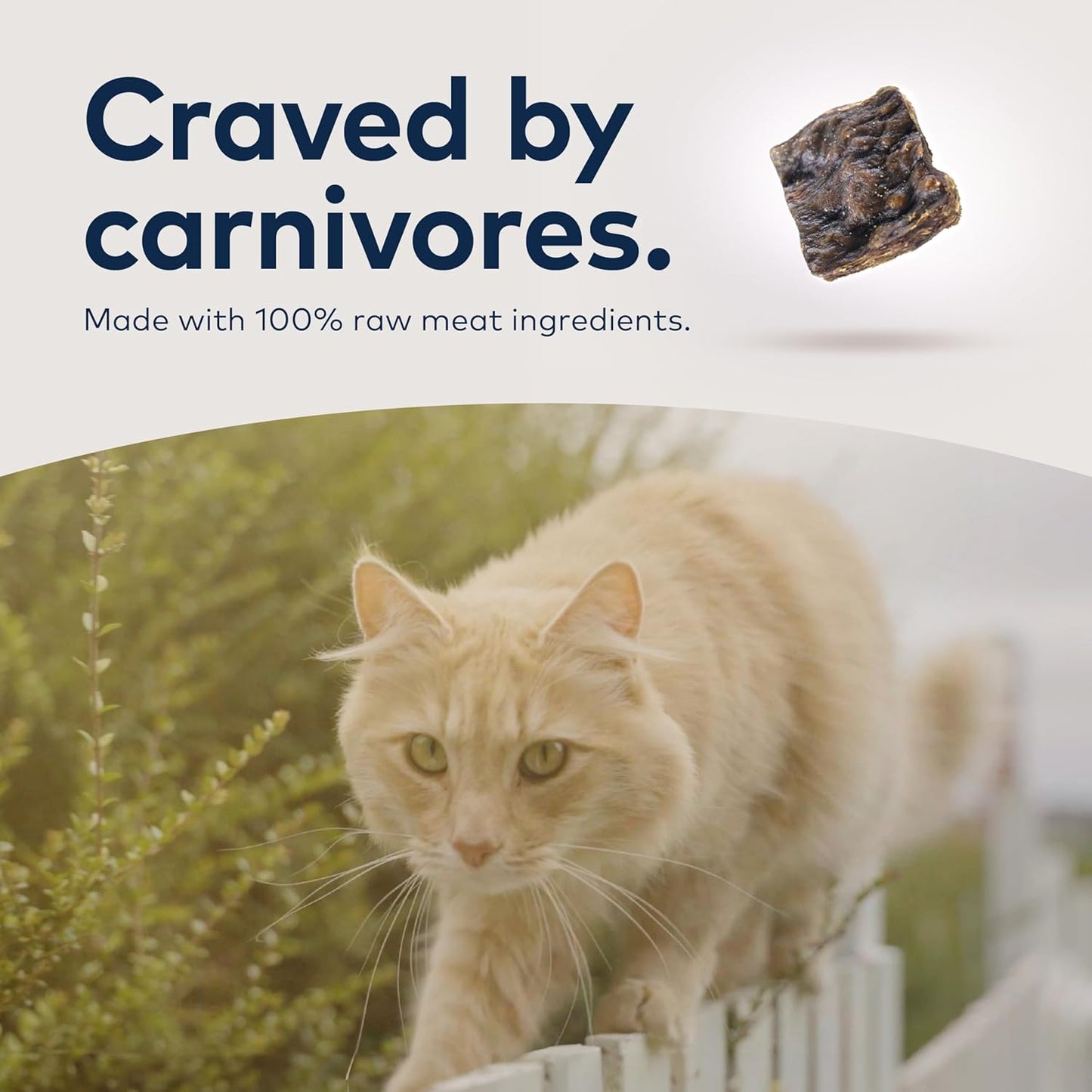 ZIWI Peak Air-Dried Cat Food Bundle High Protein, Grain Free & Limited Ingredient Superfoods (Beef, 14oz + Lamb + Chicken)