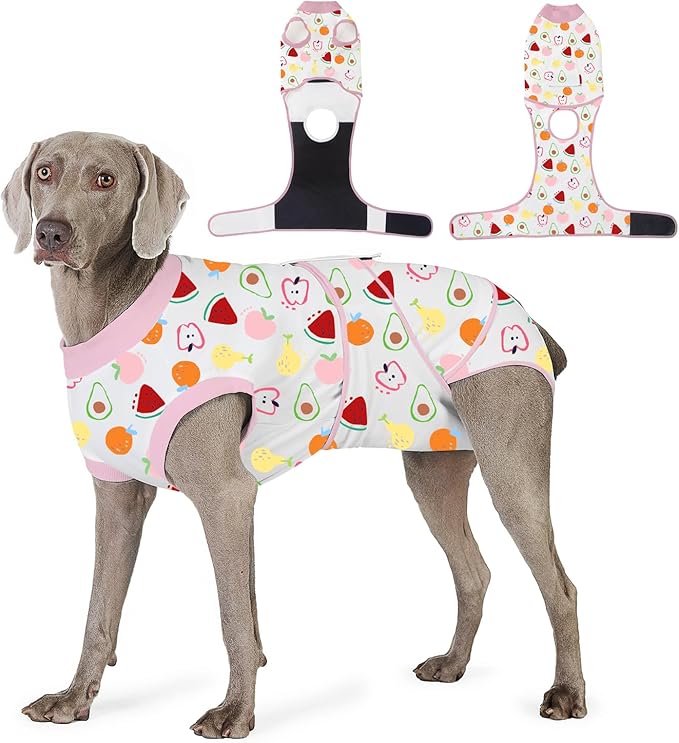 Recovery Suit for Dogs After Surgery, Professional Dog Surgical Suit for Female Spay, Male Neuter, E-Collar & Cone Alternative Dog Onesie for Abdominal Wounds Skin Disease, Fruit, XL