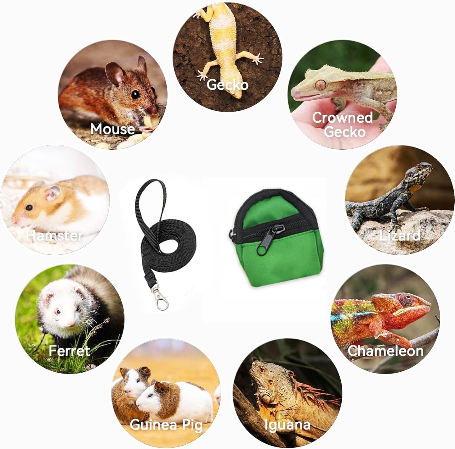 Crested Geckos Backpack Carrier,Reptile Portable Backpack Carrier with Small Backpack Harness Leash Set,Space Capsule Clear Bubble Window Travel Backpack for Lizard Travel,Guinea Pig,Bearded Dragon