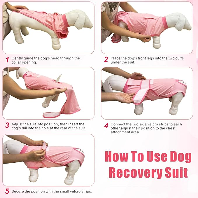 Idepet Dog Recovery Suit Female,Dogs Onesie Suit Surgery Male Breathable Pet Bodysuit for Spay Neuter E-Collar & Cone Alternative Surgical Suit Puppy Abdominal Anti Licking Wounds Shirt (Pink, M)