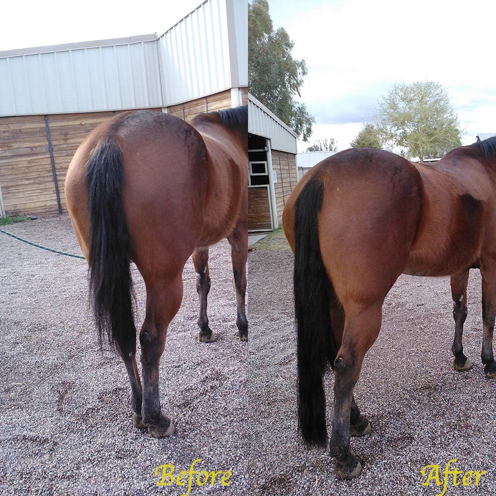 Horse Tail Extensions with Braided Horsehair Loop, Blunt Cut Bottom, 34-36 inches long and 1 lb Weight (Jet Black)