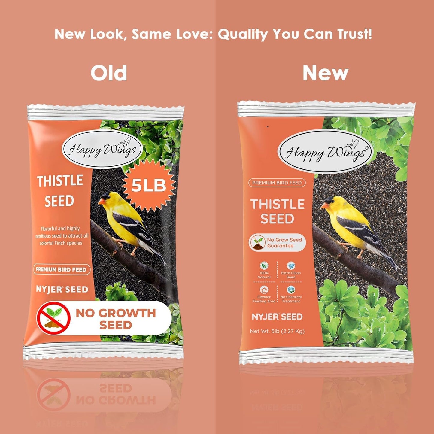 Nyjer/Thistle Seeds with Empty Sock for Wild Bird Food - 5 Pounds I No Grow Seed