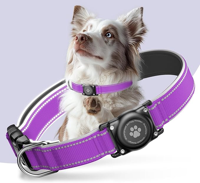 Airtag Dog Collar - 100% Waterproof Air tag Dog Collar Holder for Apple AirTag, Reflective, Soft Padded, Everlasting, GPS Dog Collar for Small Medium Large Dogs (Purple, S)